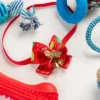 Adventskalender med Hundleksaker