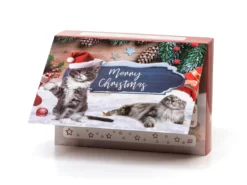 Adventskalender med Kattleksaker