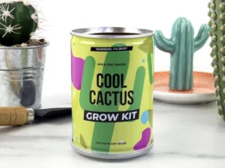 Cool Cactus Konservväxt