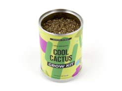 Cool Cactus Konservväxt