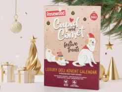 Cupid & Comet Luxury Hundkalender