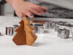 3D Pepparkaksformar