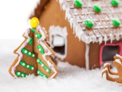 3D Pepparkaksformar