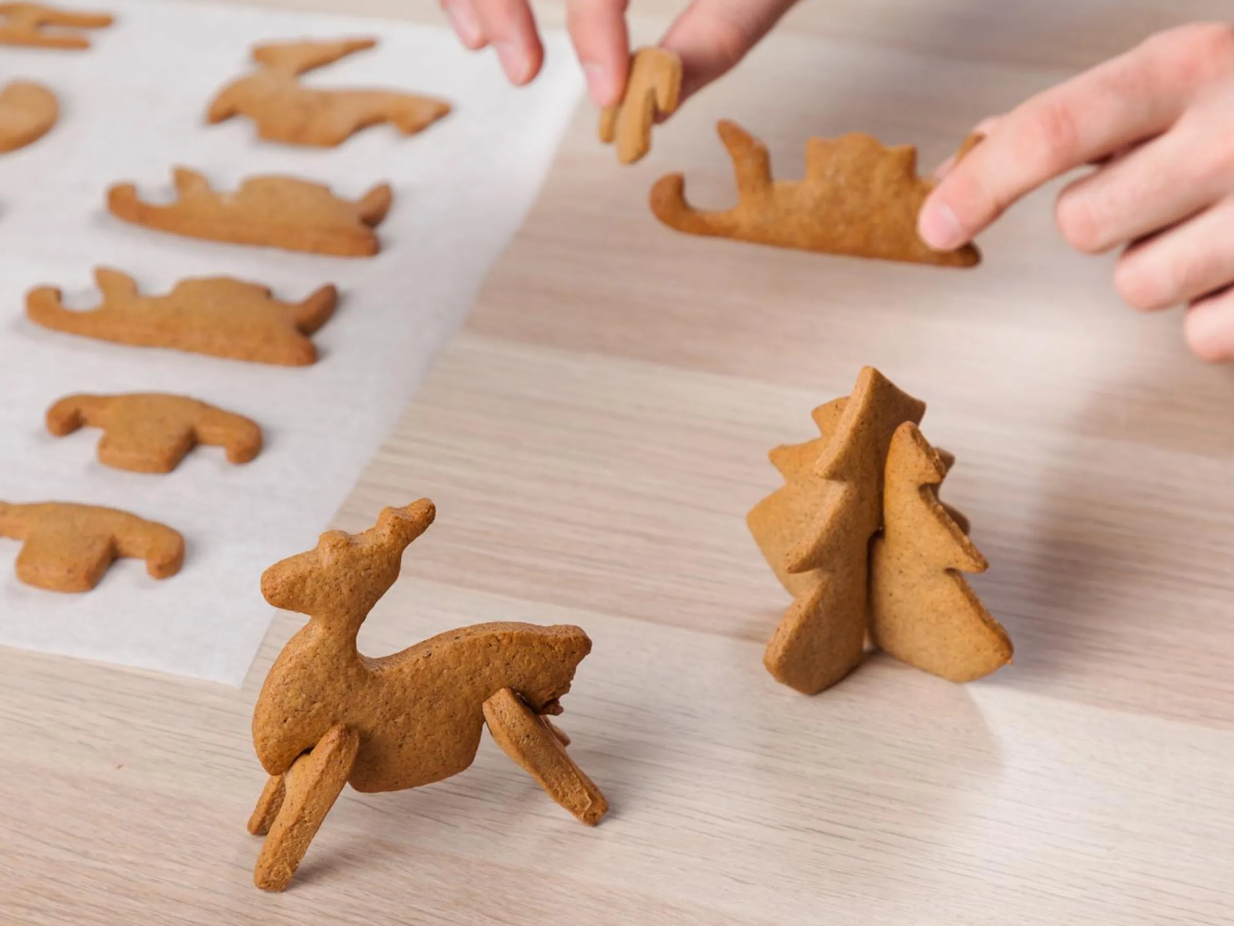 3D Pepparkaksformar