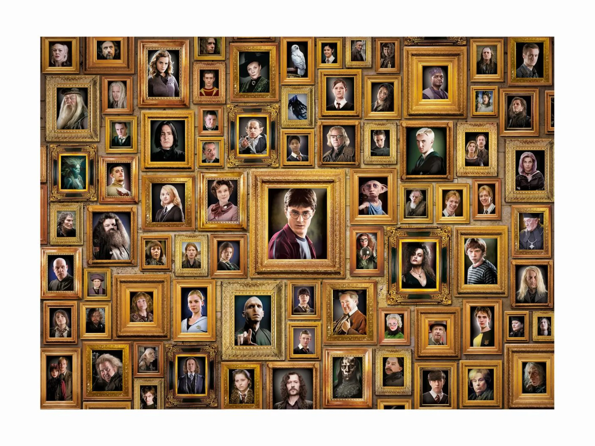 Harry Potter Omöjligt Pussel