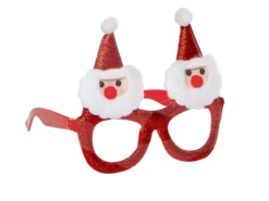 Julglasögon med Tomte
