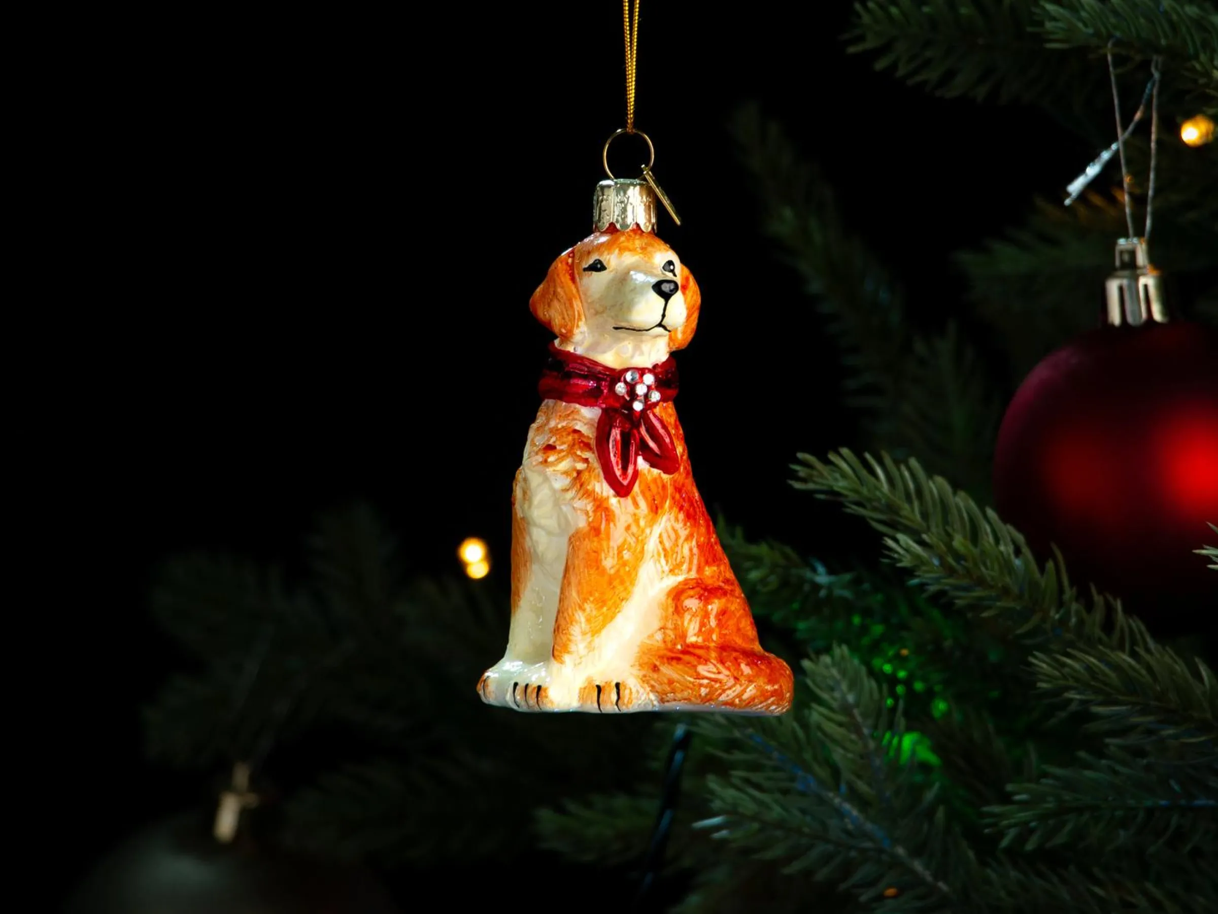 Julgranspynt Golden Retriever