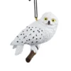 Julgranspynt Hedwig