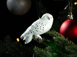 Julgranspynt Hedwig