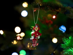 Julgranspynt Långben