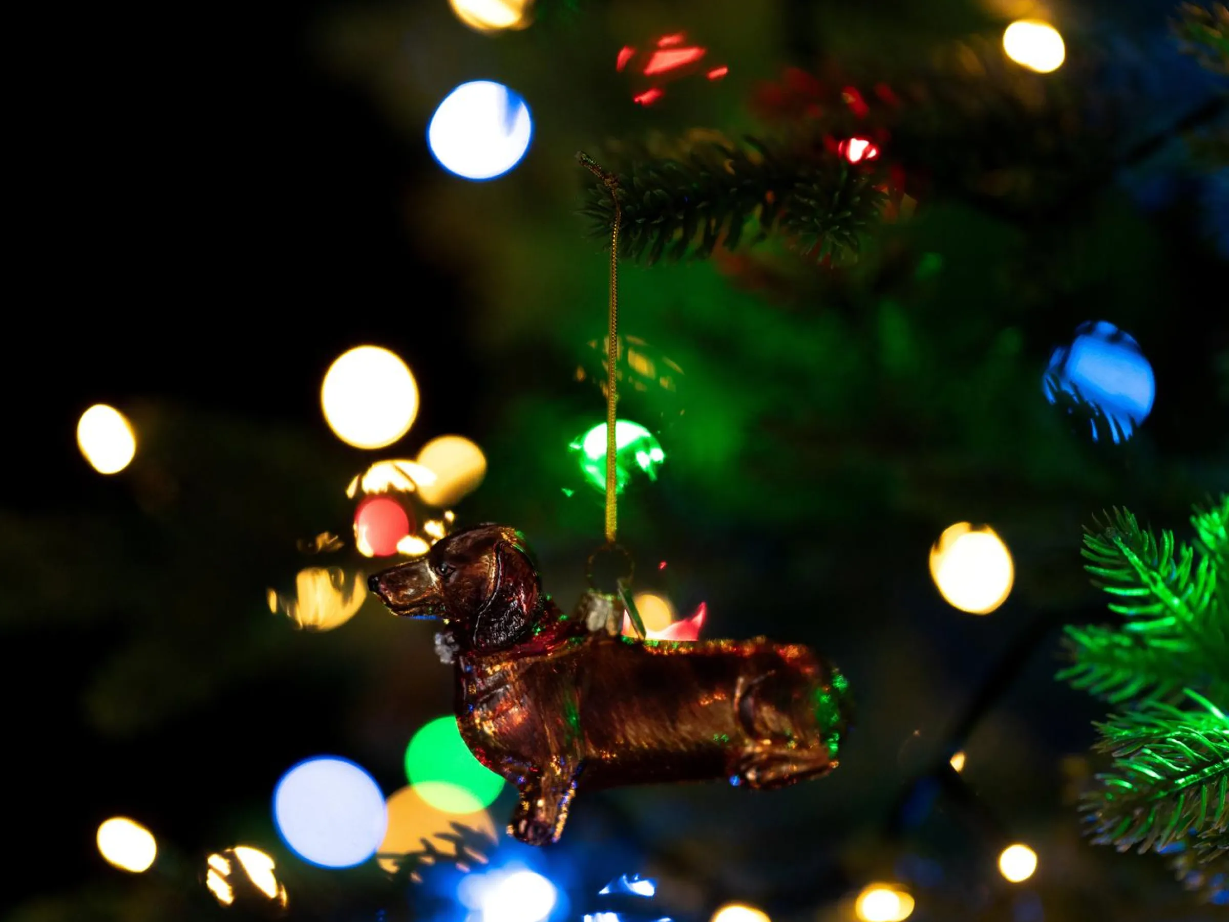 Julgranspynt Tax