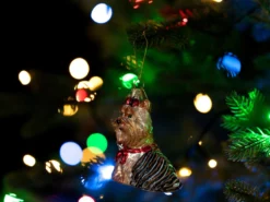 Julgranspynt Yorkshireterrier