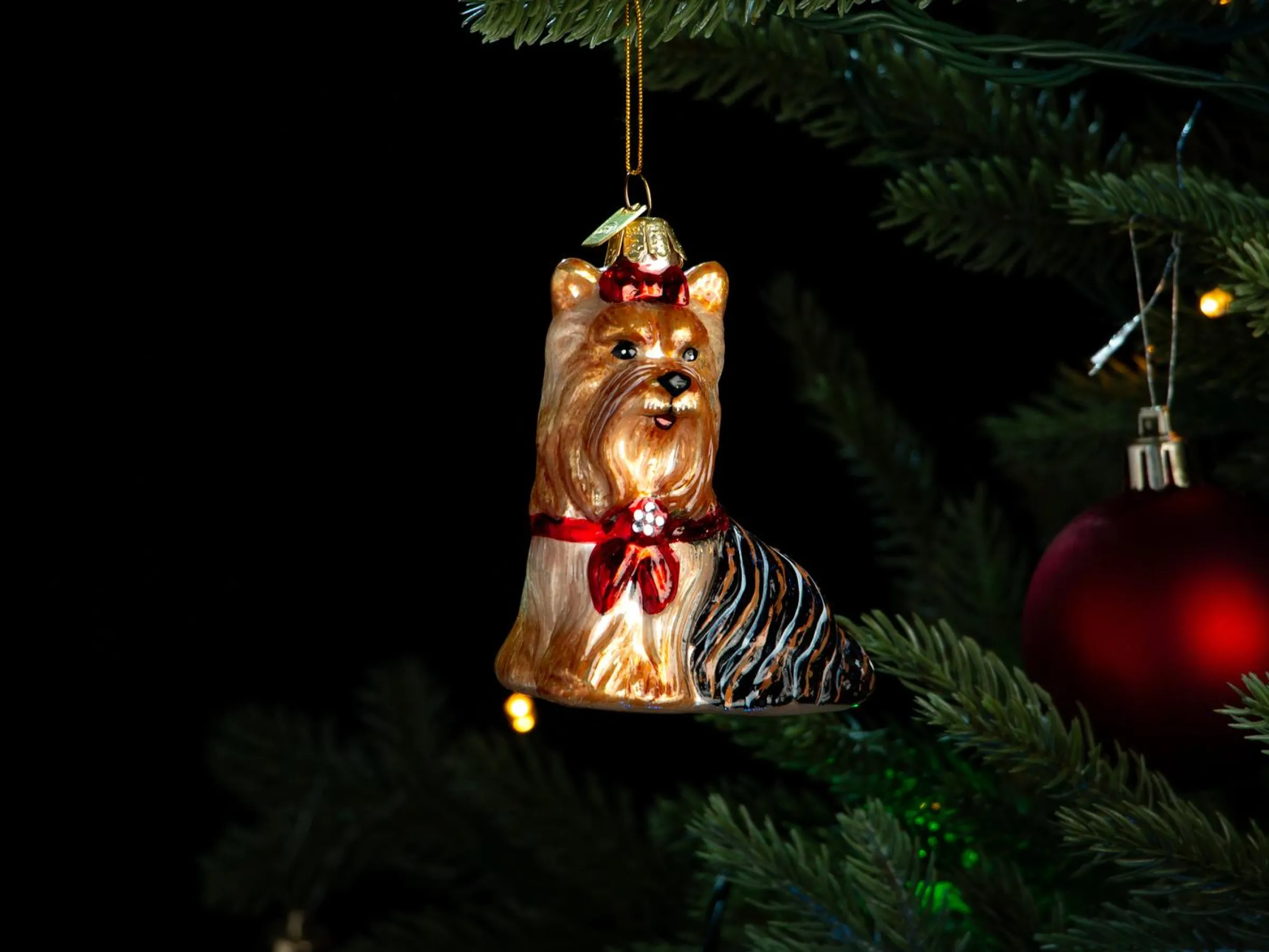 Julgranspynt Yorkshireterrier