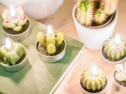 Kaktusljus 6-pack