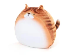 Knubbig Katt-kudde
