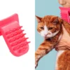 Lick Kattborste