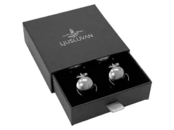 Ljusluvan