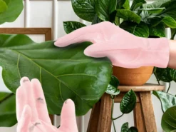 Mini Houseplant Rengöringshandskar för Krukväxter