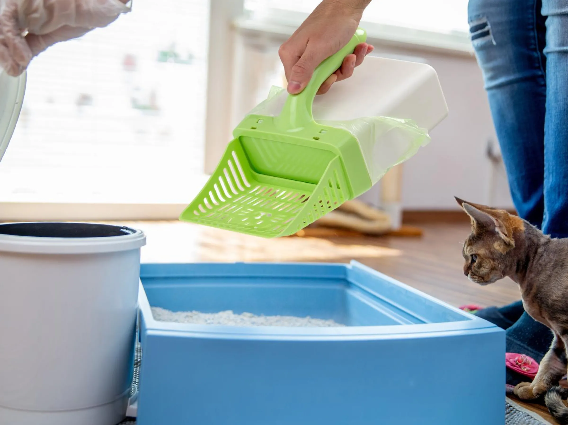 Scoop Up! Kattsandsspade med Behållare