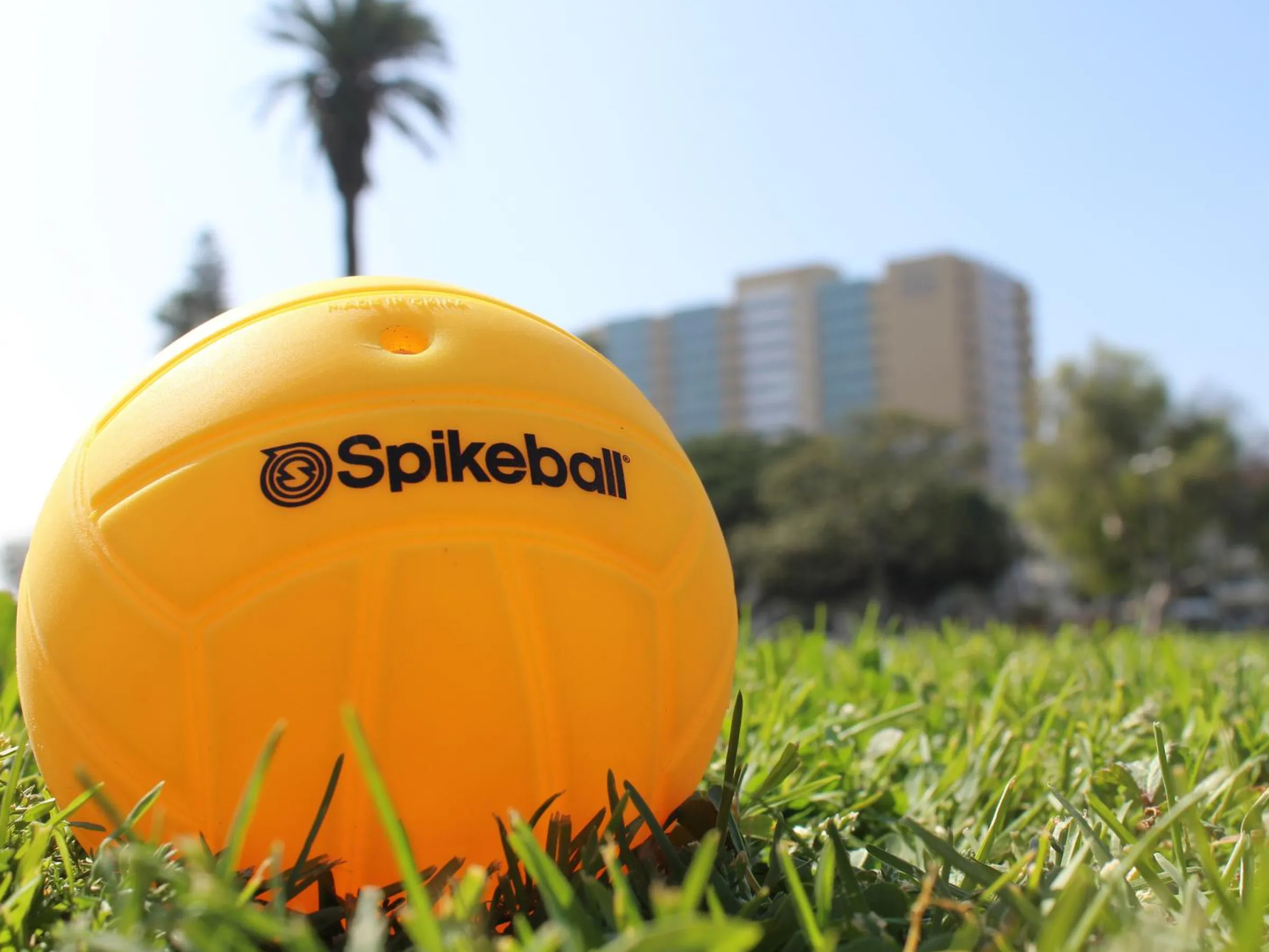Spikeball Standard Balls (2-pack)