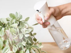 Sprayflaska med Mist
