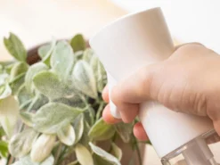 Sprayflaska med Mist